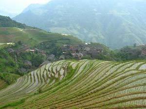 Les rizières en terrasse près de Longsheng (province du Guangxi)
