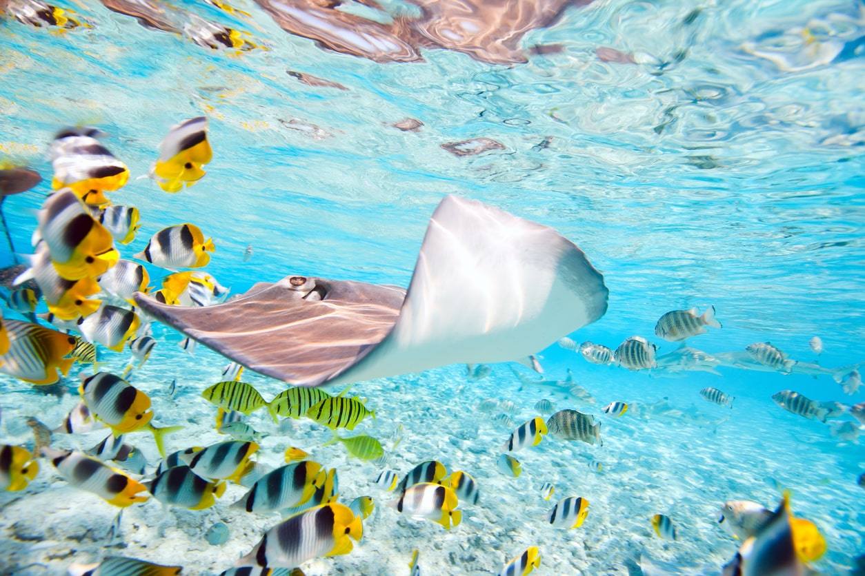 Bora Bora - Tahiti