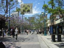 Santa Monica