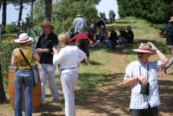 Vignes Toquées et Costières Nîmoises