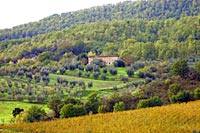 Route des vins toscans