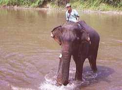 THAILANDE, BANGKOK