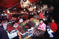 Shopping à Bangkok