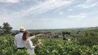 Dijon - Beaune