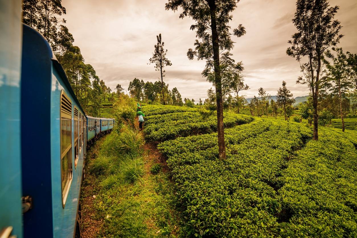 Hatton - Nuwara Eliya
