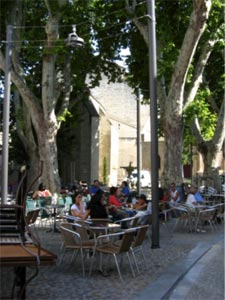 Avignon