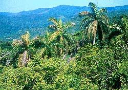 Les monts Toppes de Calentes