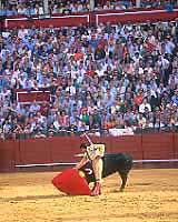 LA TAUROMACHIE