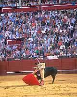 LA TAUROMACHIE