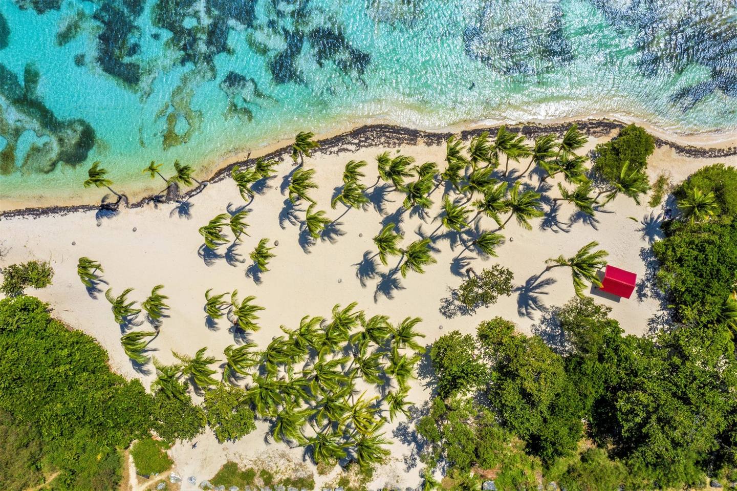 Plage du bois jolan en Guadeloupe