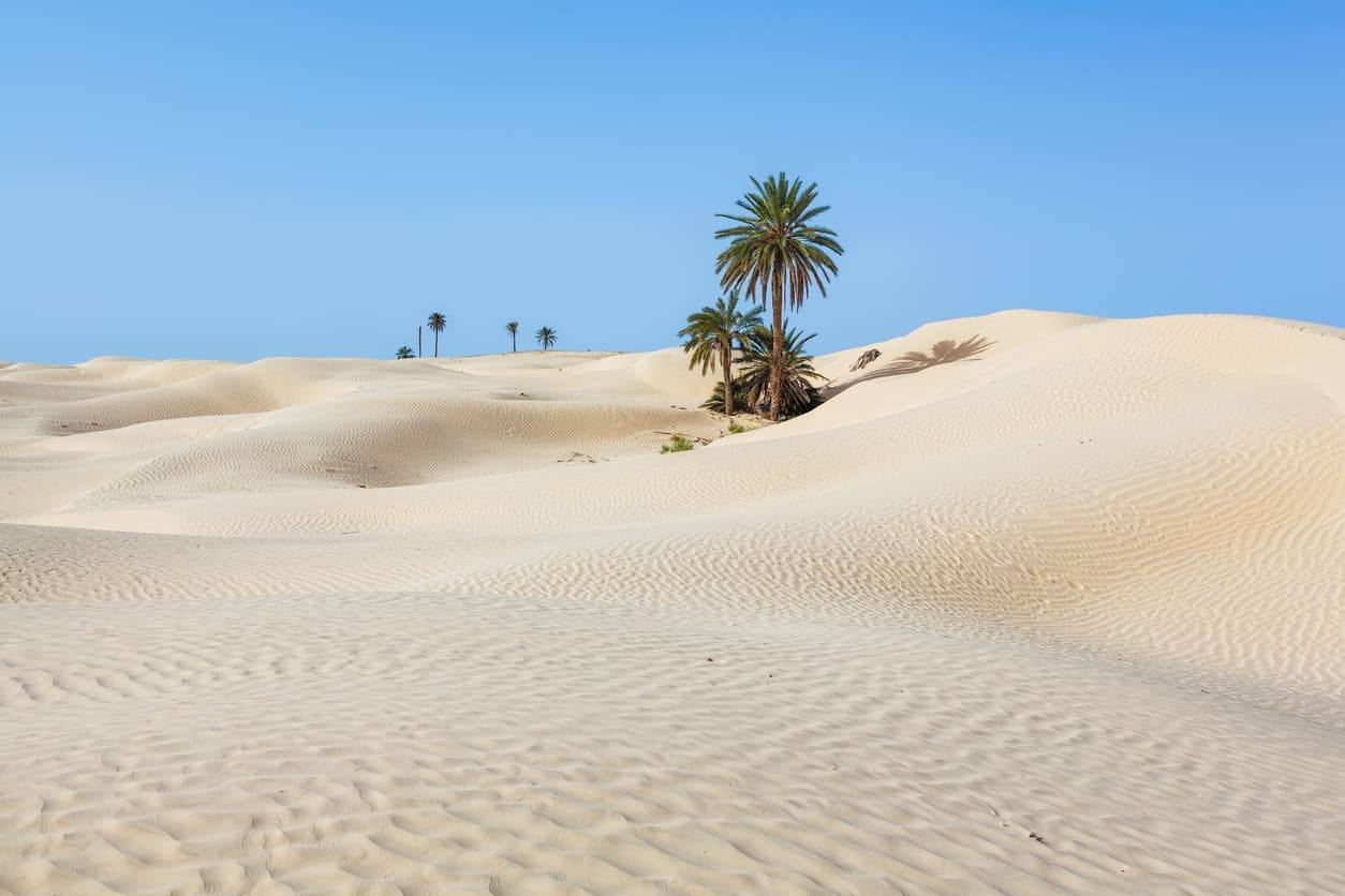 Désert du Sahara - Dune