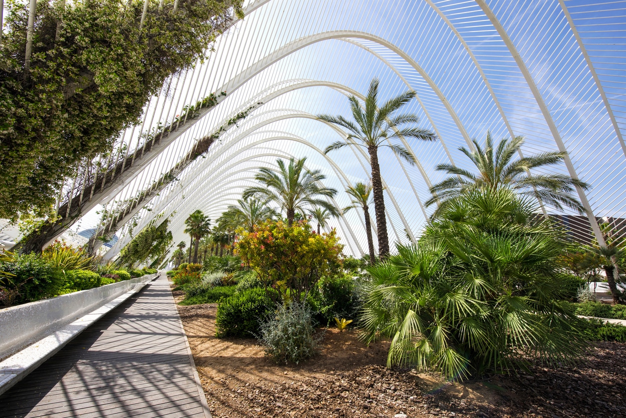 Cité des Arts et des Sciences - L'Umbracle