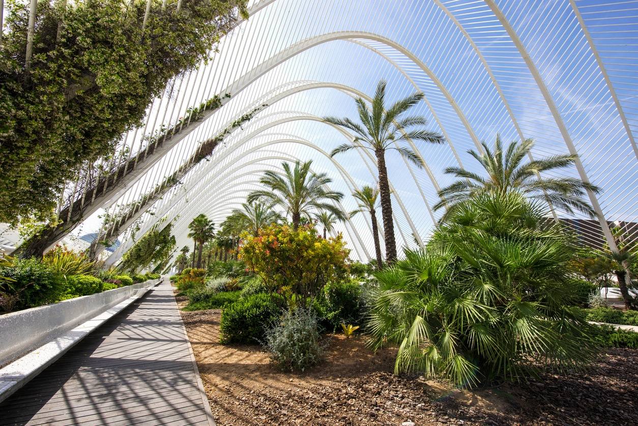 Cité des Arts et des Sciences - L'Umbracle