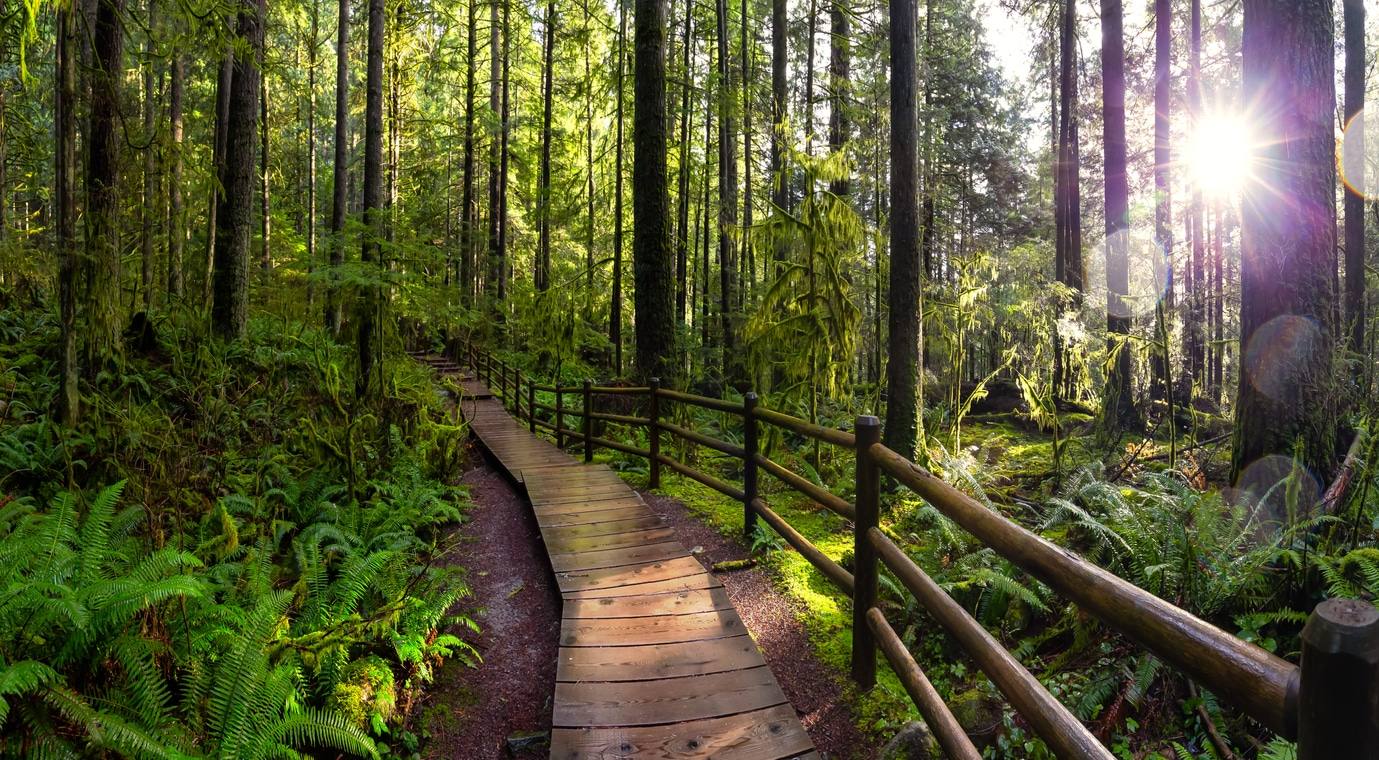 Canada - Nature