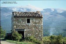 AOC Ventoux, le vent en poupe, le vin en poupe