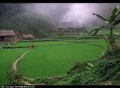 Vietnam Essentiel