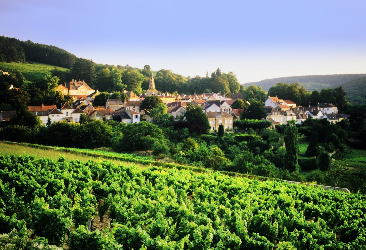 Sur la route des Grands Crus de Bourgogne