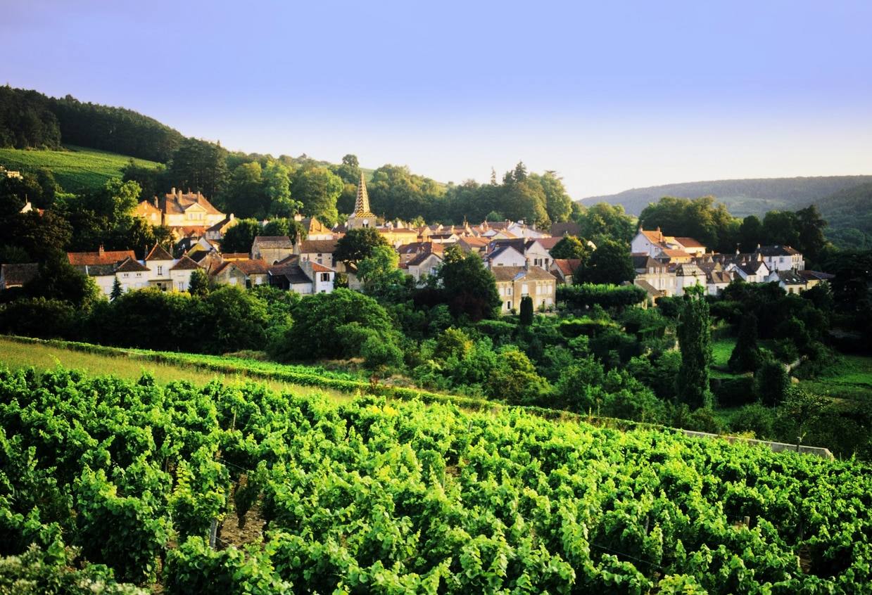 Sur la route des Grands Crus de Bourgogne