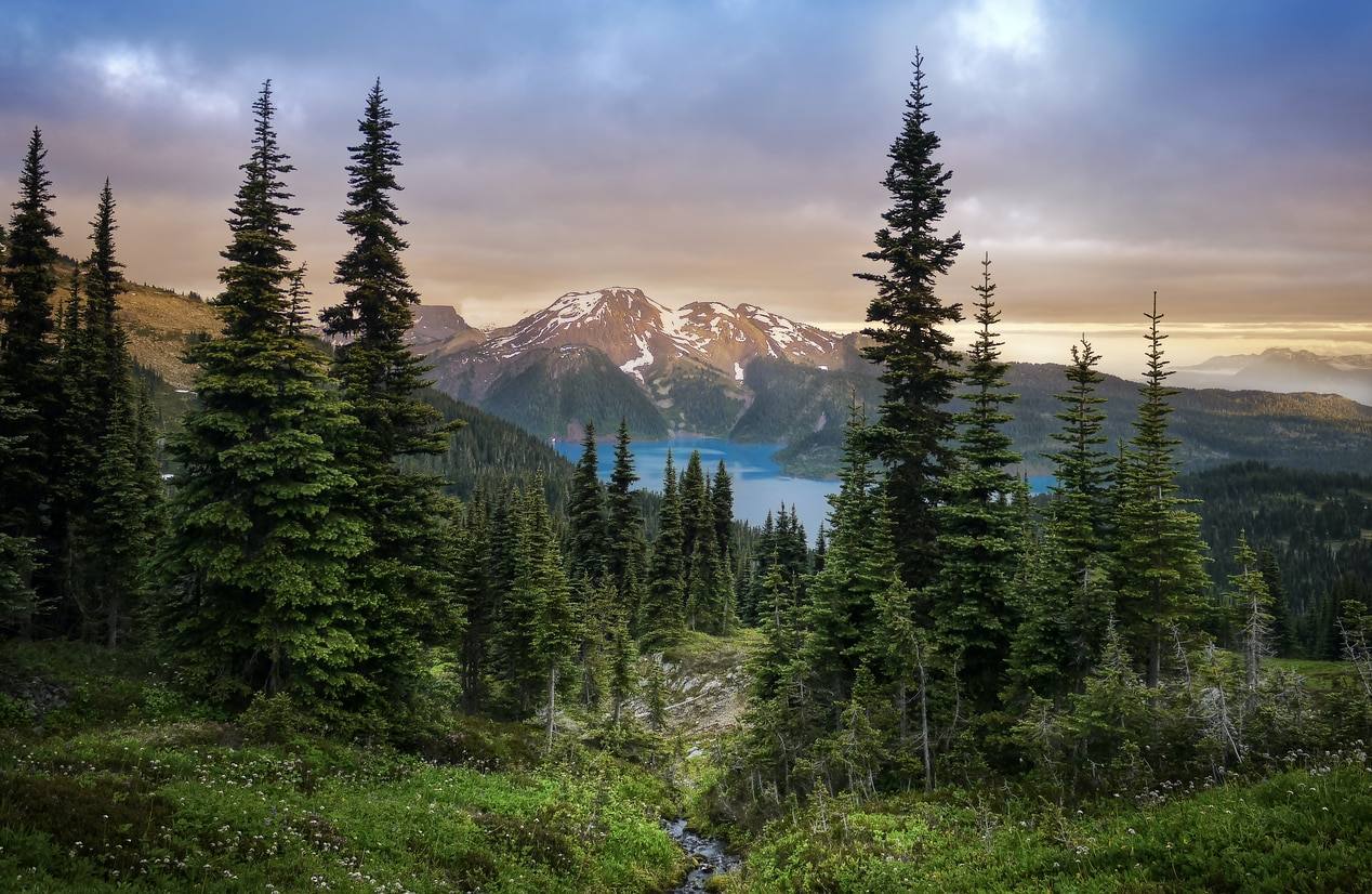 Parc provincial Garibaldi - Voyage