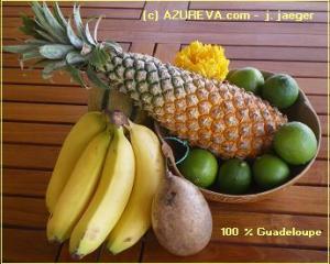 L'ananas - Fruit
