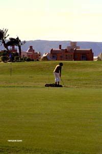 Le golf - Terrain de golf