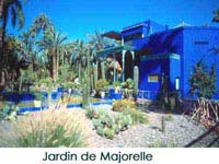 palmiers - Bleu Majorelle