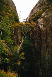 Un canyon entre le Fiord Resi et le Canal de las Montanas
