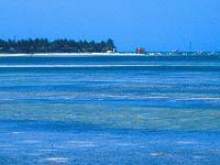 cayo-gui-2