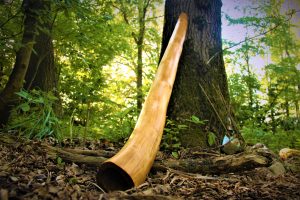 Didgeridoo dans la forêt