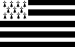 XXe : drapeau de la Bretagne