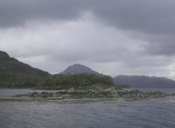 Isla Virtudes, 200Km a l&rsquo;est de Puerto Natales