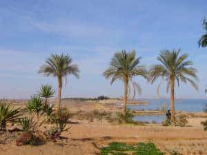 Le lac Nasser et les environs désertiques du site d'Abu Simbel