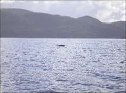Les eaux troublées du « Loch Ness »