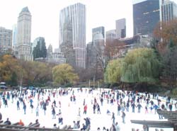 patinage à Central Park