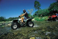Le quad, parfait pour se déplacer dans le Parc Le quad, parfait pour se déplacer dans le Parc