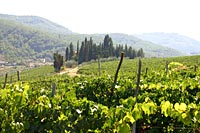 Route des vins toscans