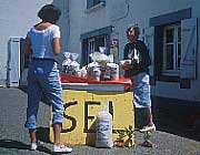 sel