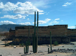 Le site de Mitla et ses cactus