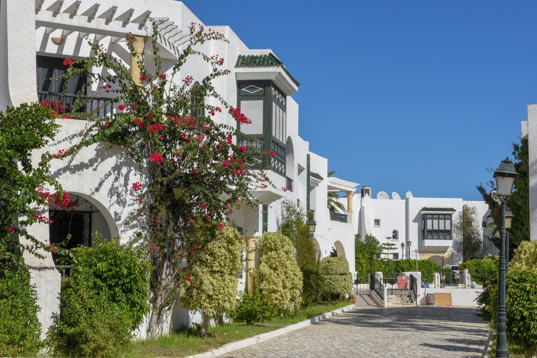 Les maisons typiques de Port El Kantaoui, en Tunisie