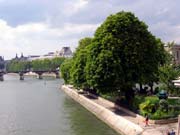 Canal - Plante
