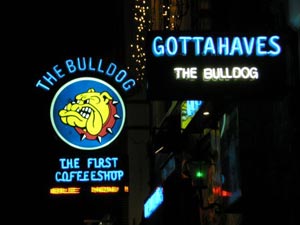 coffee-shop-the-bulldog