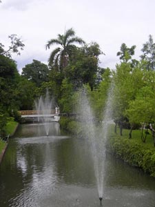 Parc Dusit, végétation Parc Dusit, végétation