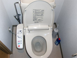 Toilettes japonais typiques !