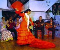 Dîner et spectacle de flamenco andalou à Barcelone