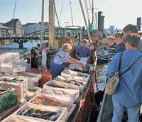 Les marchés aux poissons de Hambourg