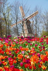 holland-pass-city-pass-for-amsterdam-the-hague-rotterdam-and-more-in-amsterdam-2