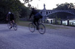 Cyclisme sur route par l'Englischer Garten à Munich