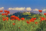 tuscany-in-one-day-sightseeing-tour-in-florence-1