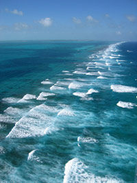 Une vue panoramique sur les récifs à Belize
