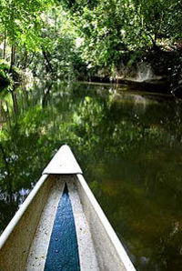 La rivière Macal de Belize